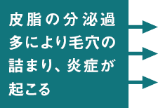 皮脂の分泌過多により毛穴の詰まり、炎症が起こる