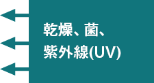 乾燥、菌、紫外線(UV)