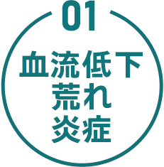 01 血流低下 荒れ 炎症