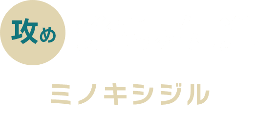 攻め 発毛を促進 ミノキシジル